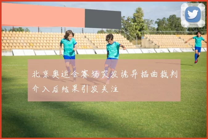 北京奥运会赛场突发诡异插曲裁判介入后结果引发关注
