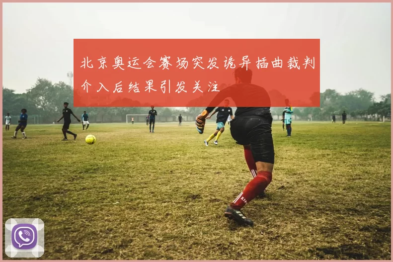 北京奥运会赛场突发诡异插曲裁判介入后结果引发关注