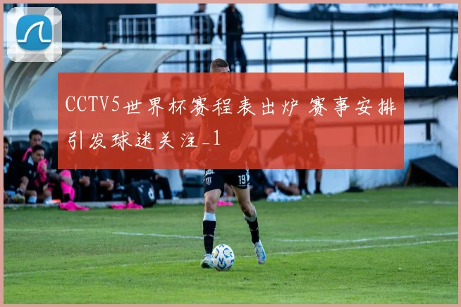 CCTV5世界杯赛程表出炉 赛事安排引发球迷关注_1